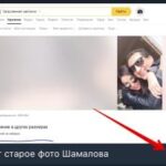 Дочка Путина и его экс-зять Шамалов не отражаются в Яндексе.